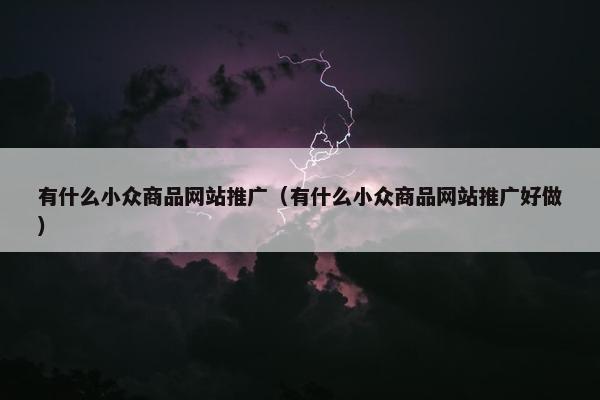 有什么小众商品网站推广（有什么小众商品网站推广好做）