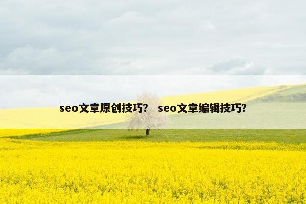seo文章原创技巧？ seo文章编辑技巧？