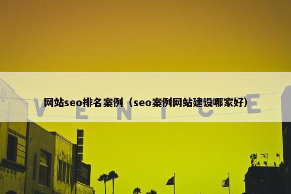 网站seo排名案例（seo案例网站建设哪家好）