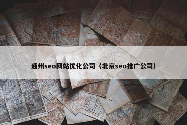 通州seo网站优化公司（北京seo推广公司）