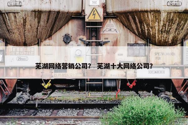 芜湖网络营销公司？ 芜湖十大网络公司？