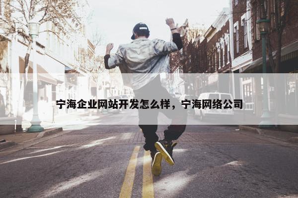 宁海企业网站开发怎么样，宁海网络公司