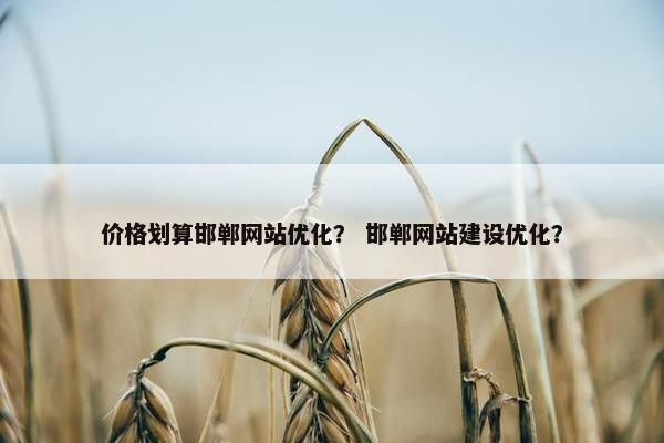 价格划算邯郸网站优化？ 邯郸网站建设优化？