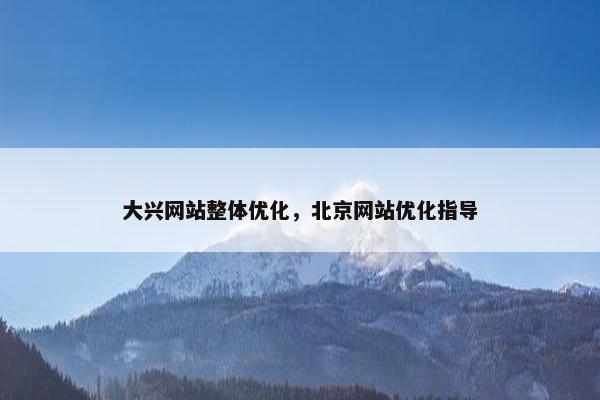 大兴网站整体优化，北京网站优化指导