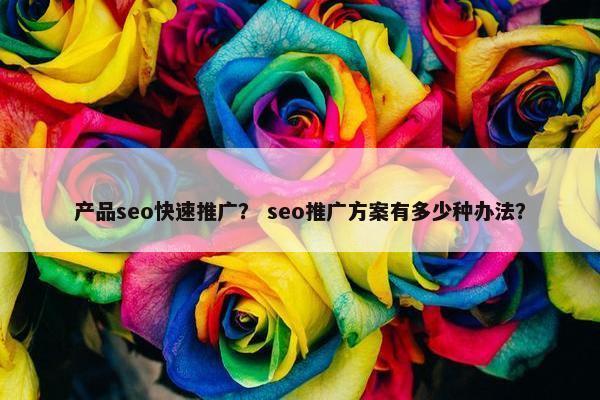 产品seo快速推广？ seo推广方案有多少种办法？