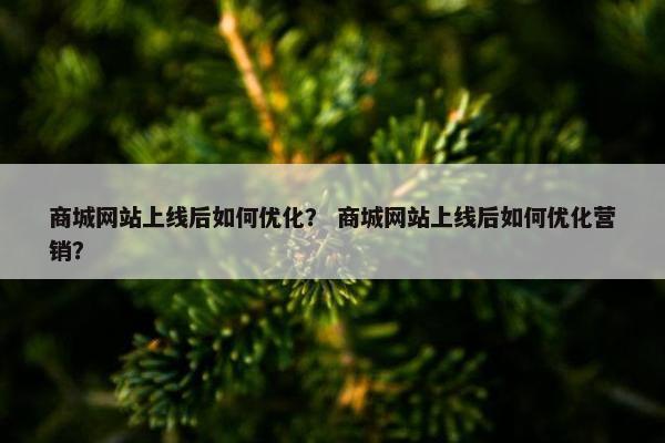 商城网站上线后如何优化? 商城网站上线后如何优化营销? 商城网站上线后如何优化? 商城网站上线后如何优化营销?