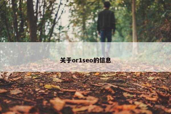 关于or1seo的信息