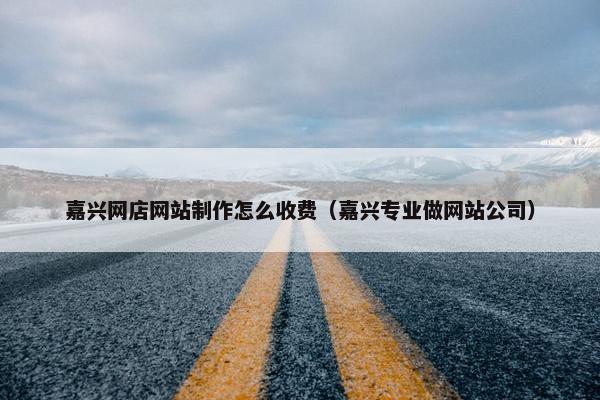 嘉兴网店网站制作怎么收费（嘉兴专业做网站公司）