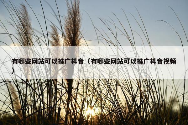 有哪些网站可以推广抖音(有哪些网站可以推广抖音视频) 有哪些网站可以推广抖音(有哪些网站可以推广抖音视频)