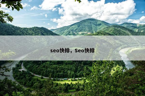 seo快排，Seo快排