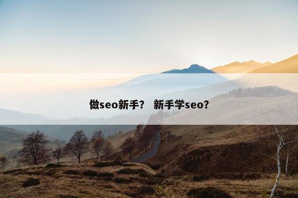 做seo新手？ 新手学seo？