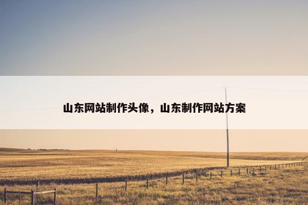 山东网站制作头像，山东制作网站方案