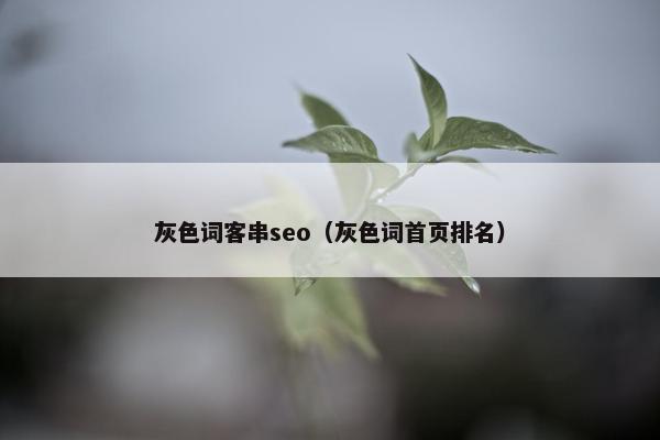 灰色词客串seo（灰色词首页排名）