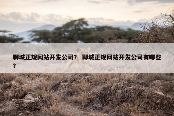 聊城正规网站开发公司？ 聊城正规网站开发公司有哪些？