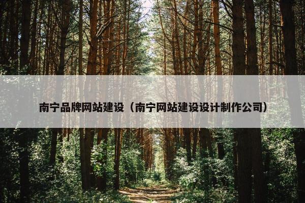 南宁品牌网站建设(南宁网站建设设计制作公司) 南宁品牌网站建设(南宁网站建设设计制作公司)