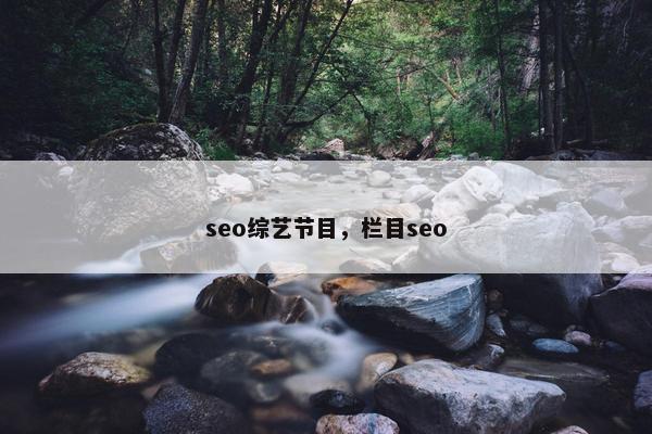 seo综艺节目，栏目seo