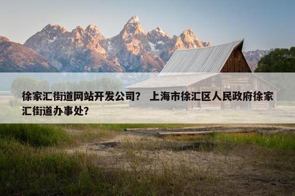 徐家汇街道网站开发公司？ 上海市徐汇区人民政府徐家汇街道办事处？
