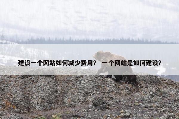 建设一个网站如何减少费用? 一个网站是如何建设? 建设一个网站如何减少费用? 一个网站是如何建设?