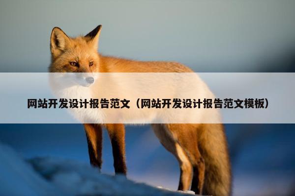 网站开发设计报告范文（网站开发设计报告范文模板）