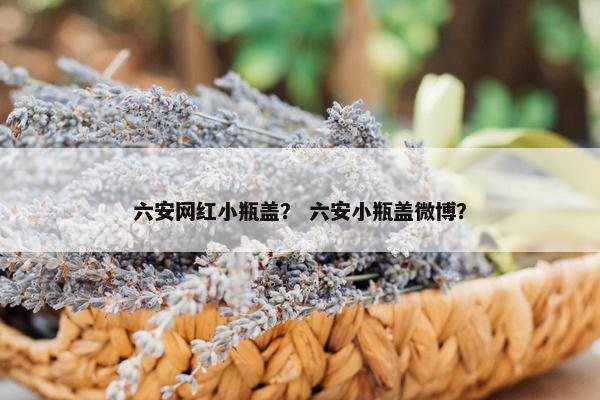 六安网红小瓶盖? 六安小瓶盖微博? 六安网红小瓶盖? 六安小瓶盖微博?