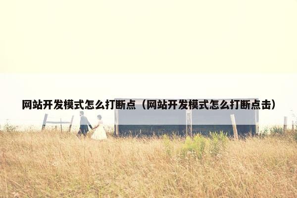 网站开发模式怎么打断点（网站开发模式怎么打断点击）