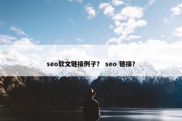 seo软文链接例子？ seo 链接？