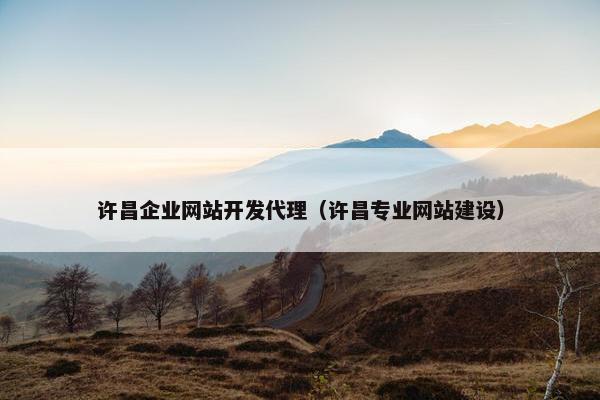 许昌企业网站开发代理（许昌专业网站建设）