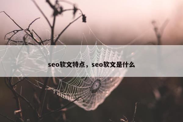 seo软文特点，seo软文是什么