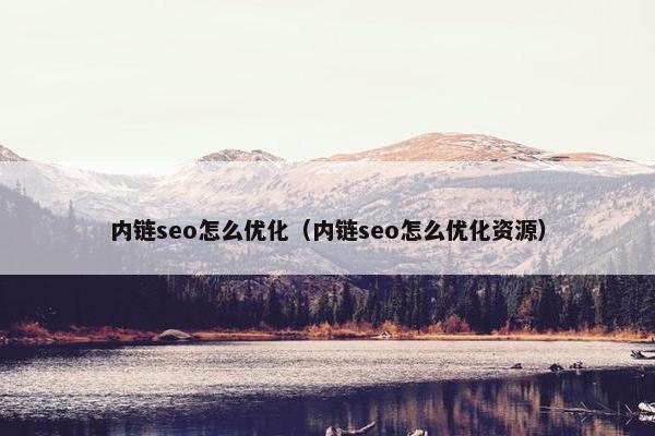 内链seo怎么优化（内链seo怎么优化资源）
