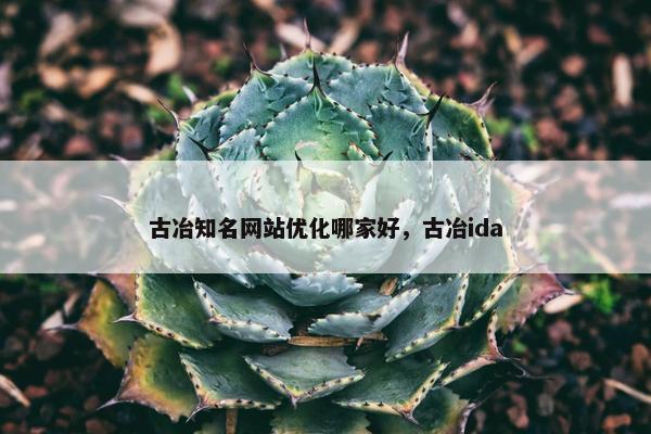 古冶知名网站优化哪家好，古冶ida
