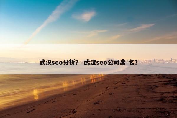 武汉seo分析？ 武汉seo公司出 名？