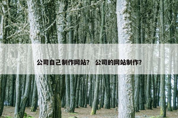 公司自己制作网站？ 公司的网站制作？