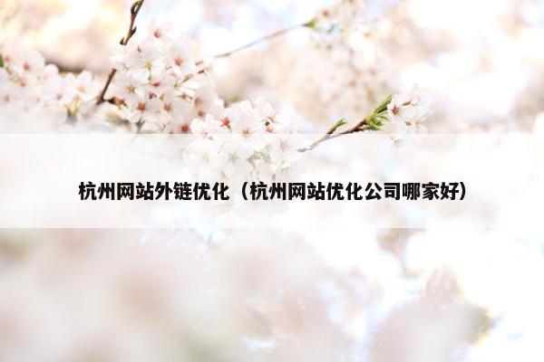 杭州网站外链优化（杭州网站优化公司哪家好）