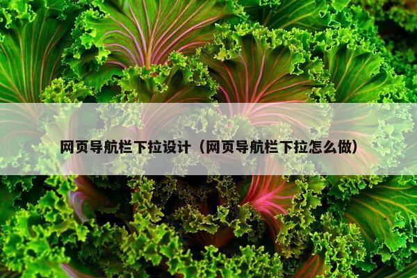 网页导航栏下拉设计（网页导航栏下拉怎么做）