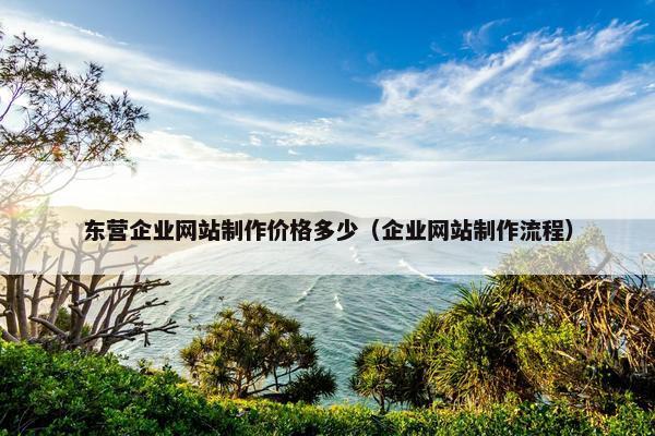 东营企业网站制作价格多少（企业网站制作流程）