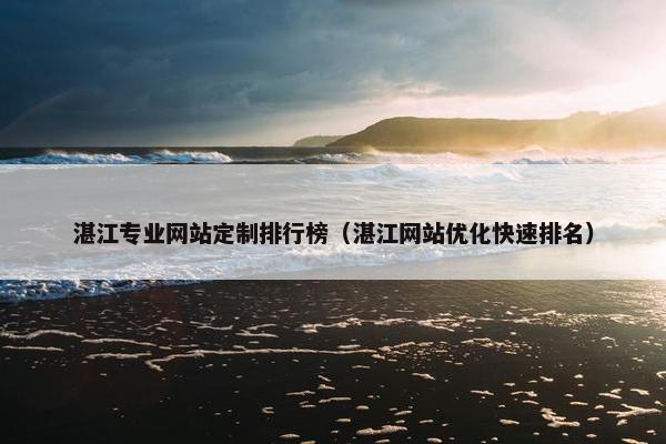 湛江专业网站定制排行榜（湛江网站优化快速排名）