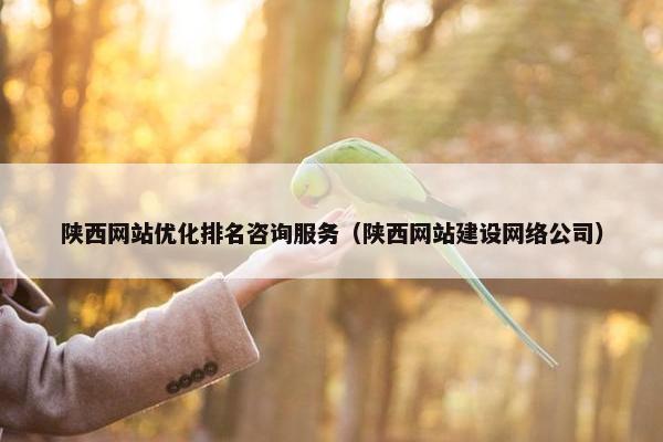 陕西网站优化排名咨询服务（陕西网站建设网络公司）