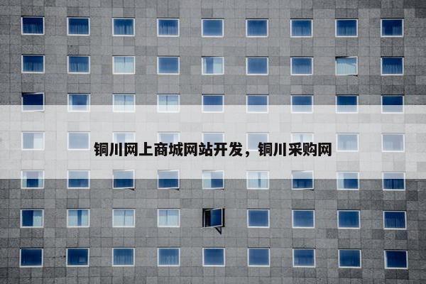 铜川网上商城网站开发，铜川采购网