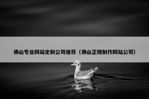 佛山专业网站定制公司推荐（佛山正规制作网站公司）