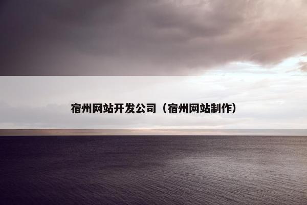 宿州网站开发公司（宿州网站制作）