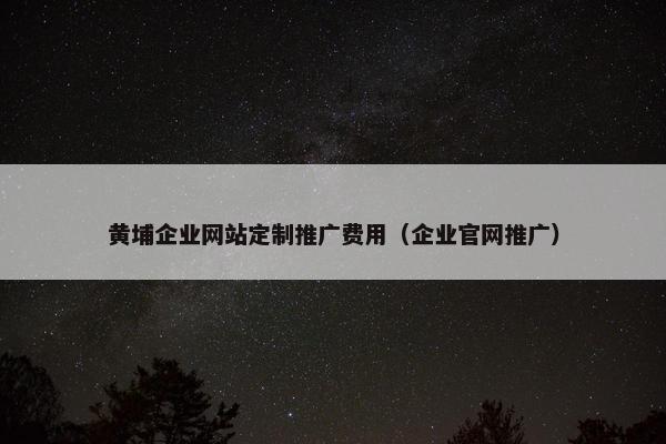黄埔企业网站定制推广费用（企业官网推广）