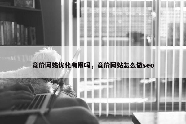 竞价网站优化有用吗，竞价网站怎么做seo