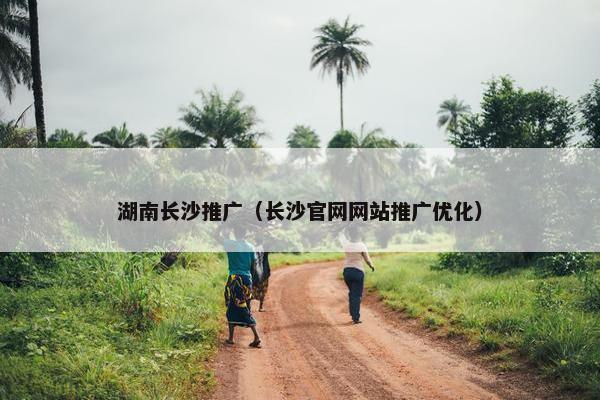 湖南长沙推广（长沙官网网站推广优化）