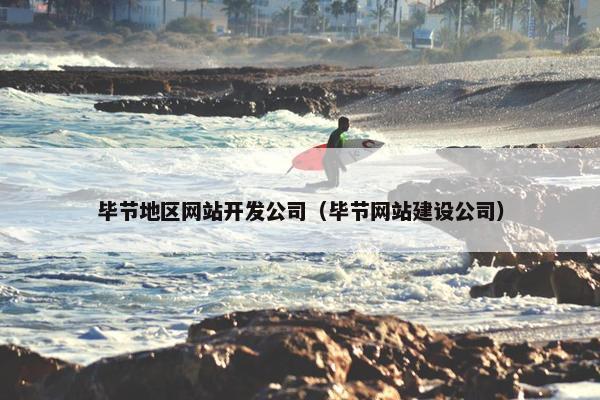 毕节地区网站开发公司（毕节网站建设公司）