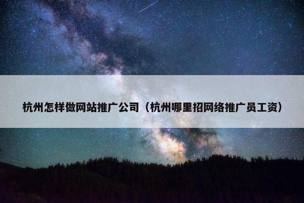 杭州怎样做网站推广公司（杭州哪里招网络推广员工资）