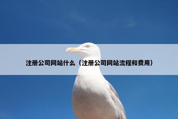 注册公司网站什么（注册公司网站流程和费用）
