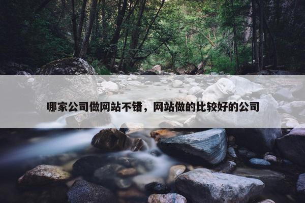 哪家公司做网站不错，网站做的比较好的公司