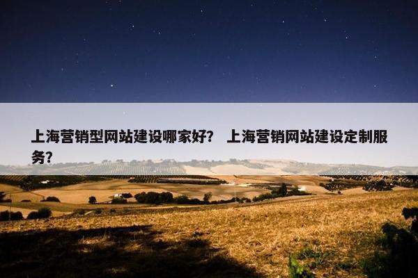 上海营销型网站建设哪家好？ 上海营销网站建设定制服务？