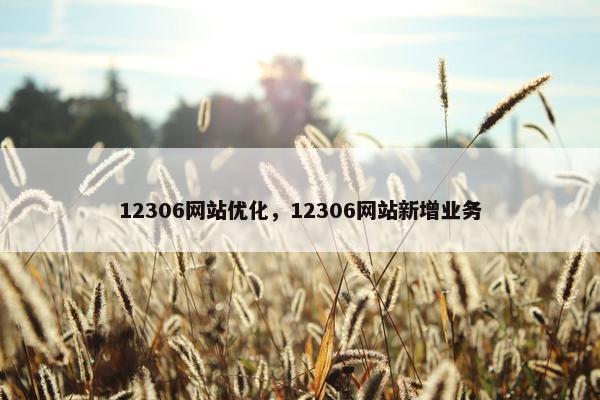 12306网站优化，12306网站新增业务
