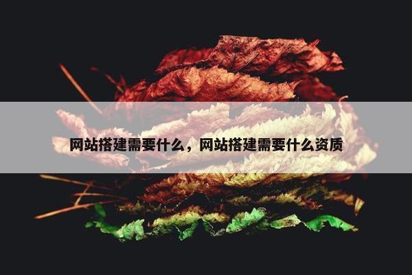 网站搭建需要什么，网站搭建需要什么资质